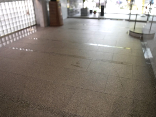 浜松市内　商業ビルのロビー/共用通路の清掃