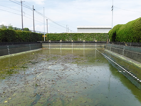 施設内プールの洗浄