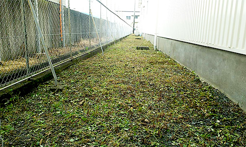 袋井市内事業所敷地　除草及び除草剤散布03