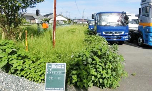 浜松市浜北区内　工場敷地　除草作業01