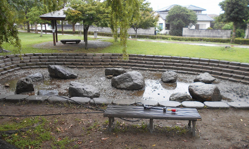 浜松市公園内の池掃除05.jpg